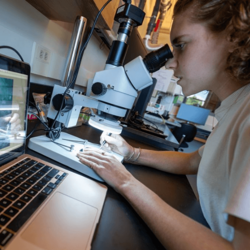 Woman examines specimens under a microscope