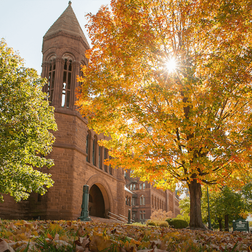 A classic campus building in fall viewed through the golden leaves of a maple tree.